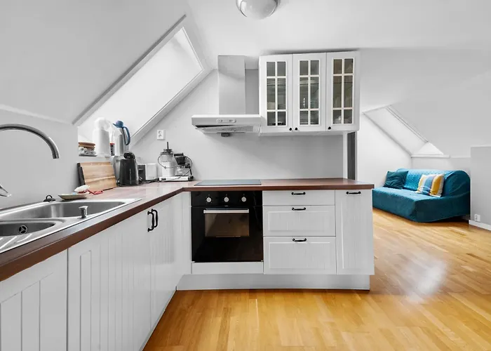 Experience Norway's History I With Free Parking Apartament *